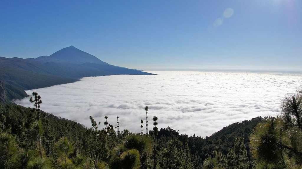 Apartment El Paraiso En Gigantes Santiago del Teide